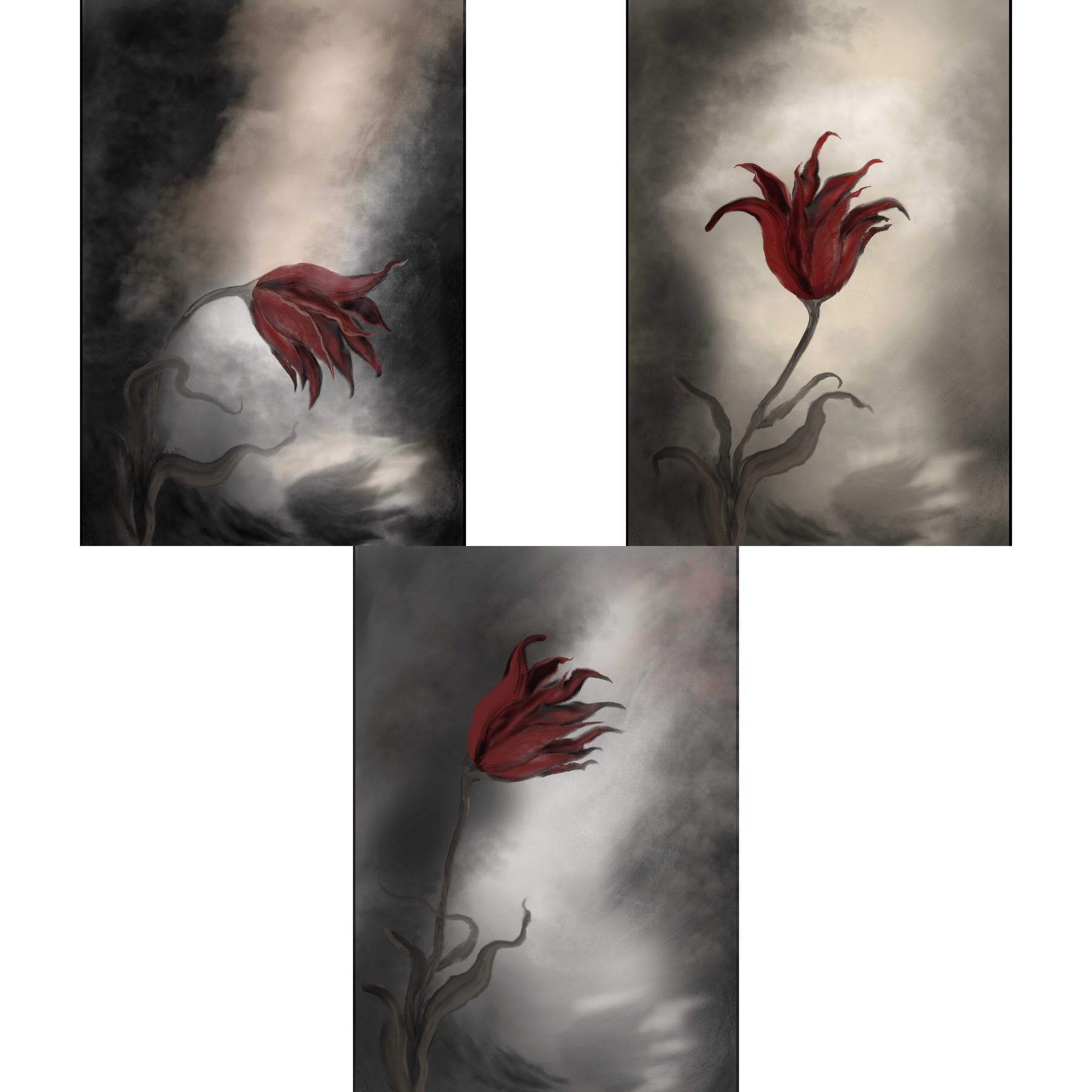 tulips
